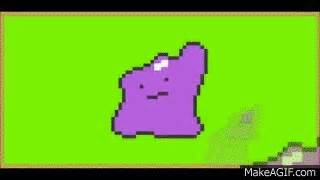 ditto dance website|Ditto Conga .